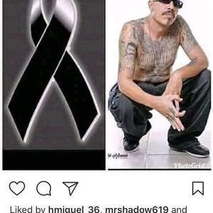 Meet your Posher, Stephinie